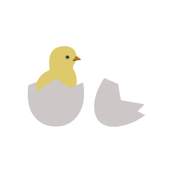 从白色背景上分离的蛋中孵出的小鸡 — 图库矢量图片