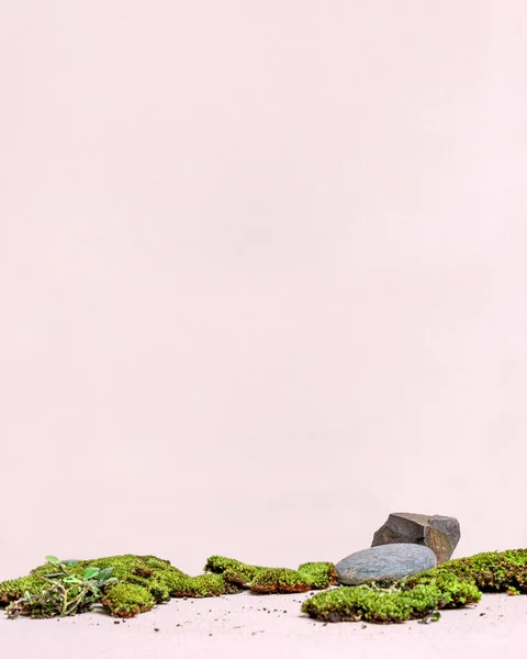 rock product display with green moss on a pastel background for organic products and cosmetics with copy space for text