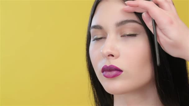 Visagiste Préparant Jolie Femme Asiatique Pour Maquillage Des Yeux Main — Video