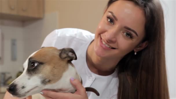 Досить Жіночі Ветеринари Перетворюють Собак Камеру Крупним Планом Приваблива Біла — стокове відео