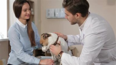 Erkek hayvan hastalıklarıyla ilgili sorgulama kadın onu evde beslenen hayvan. Veteriner Doktor soru cevap oldukça beyaz kadın. Çekici esmer erkek köpekler kafasına elele