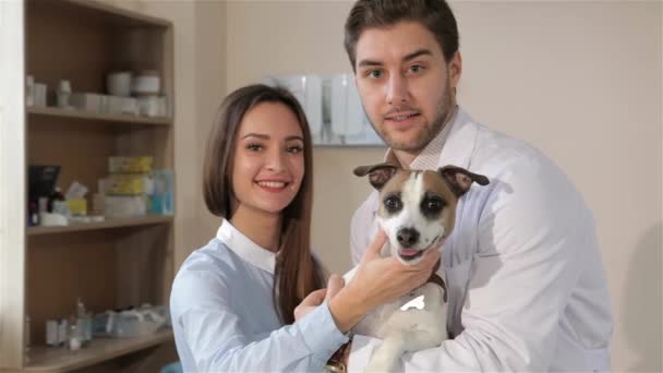 Médico Veterinário Masculino Posando Com Cão Seu Dono Uma Mulher — Vídeo de Stock