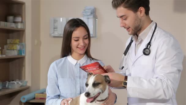 Ветеринар Мужчина Рассказывает Владелице Собаки Лечении Собаки Привлекательный Мужчина Ветеринар — стоковое видео