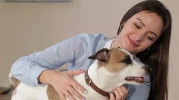 Mujer Bastante Caucásica Acariciando Perro Clínica Veterinaria Primer Plano Mujer — Vídeo de stock
