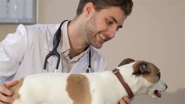 Jovem Médico Veterinário Masculino Segurando Cão Mesa Veterinário Vista Lateral — Vídeo de Stock