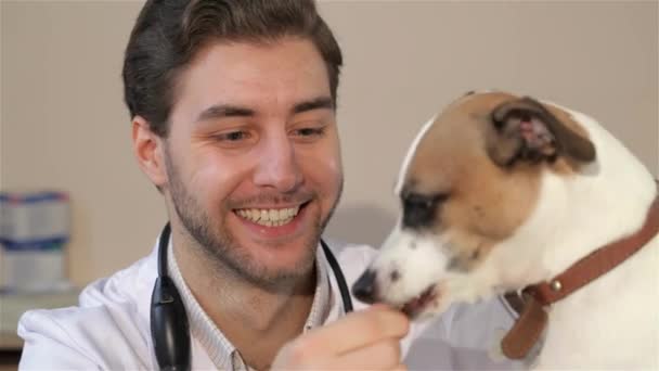 Ung Mandlig Dyrlæge Fodrer Hunden Dyrlægeklinikken Tæt Hunden Tager Noget – Stock-video