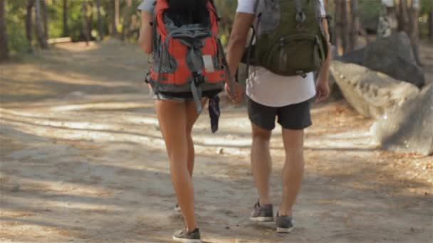 Młoda Para Turystów Odchodzisz Przez Przełęcz Lesie Strzał Mężczyzny Kobiety — Wideo stockowe