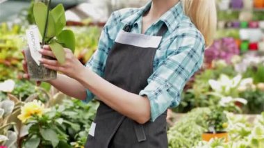 Kadın çiçekçi alarak Orkide Bahçe merkezinde uzun kök ve kırmızı çiçekler ile gülümseyen. Sarışın kadın egzotik tropik bitki aroması kokan. Çekici Kafkas kadın hayran