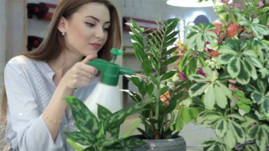 Çiçekçi Çiçek dükkanında houseplants üzerinde su püskürtme, yakın çekim. Güzel beyaz kadın parmağını tarafından büyük püskürtücü düğmeye. Genç ve güzel kadın dönüşümlü olarak üç houseplants sulama