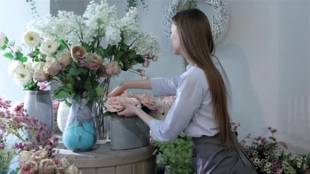 Jovem Florista Feminina Movendo Flores Diferentes Perto Janela Loja Flores — Vídeo de Stock