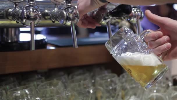 バーテンダーはバーでビールを飲みました バーで手を満たすパイントの詳細 ビールタップで手を挙げて ラガーを注ぎます タップされたビール バーテンダーは 彼のタップされたガラスのグラスを保持しています — ストック動画