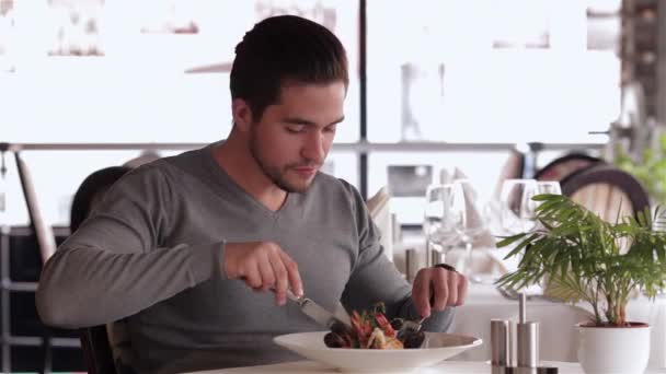 Makan Siang Bisnis Restoran Kafe Kedai Kopi Kelompok Pria Berpakaian — Stok Video