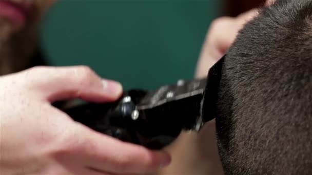 Erkek Saç Şekillendirme Kanununu Bir Kuaför Dükkanı Veya Saç Salonda — Stok video