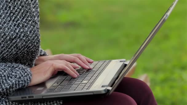 Dziewczyna Pracuje Laptopie Parku Miejskim Bliska Reszta Studentów Lub Młodych — Wideo stockowe
