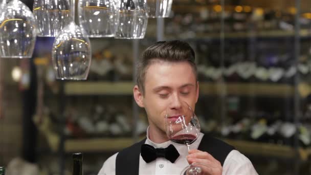 조끼와 넥타이 와인으로 들고와 냄새에 자신감 남자의 클로즈업 소비와 사람들 — 비디오