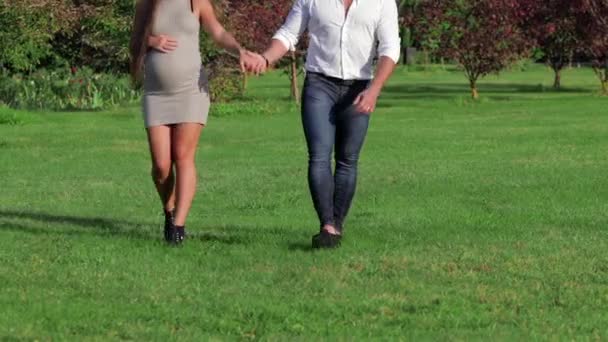 Husband His Pregnant Wife Walking Sunset Field Theme Romantic Pregnancy — Stock Video