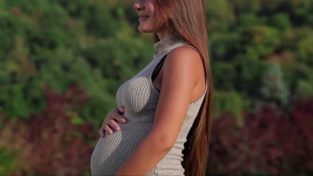 Feliz Joven Embarazada Sonriendo Cámara Una Mujer Esperando Niño Concepto — Vídeos de Stock
