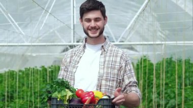 Hasat çalışan adam bir çekmece sağlıklı sebze dolu gösterir. Genç Ziraat hasat izlemek. Genç çiftçilerin yetişir ve organik sebze hasat