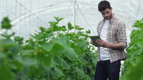 Facet Tablet Powoli Inspekcji Roślin Młodzi Agronomów Monitorowanie Zbiorów Młodzi — Wideo stockowe