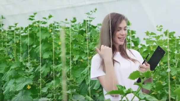 Chica Entre Filas Vegetación Pulgares Hacia Arriba Jóvenes Agrónomos Monitorean — Vídeos de Stock