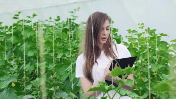 Chica Con Portapapeles Toma Notas Considera Filas Plantas Jóvenes Agrónomos — Vídeo de stock