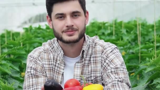 Vitaminas Saludables Jóvenes Agrónomos Monitorean Cosecha Los Jóvenes Agricultores Cultivan — Vídeos de Stock