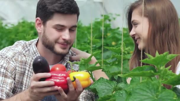 Młodzi Agronomów Monitorowanie Zbiorów Młodzi Rolnicy Uprawiane Zbierane Organicznych Warzyw — Wideo stockowe