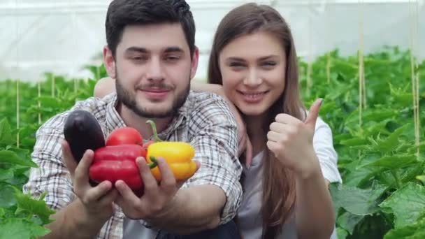 Tipo Muestra Verduras Saludables Chica Pulgares Hacia Arriba Jóvenes Agrónomos — Vídeos de Stock