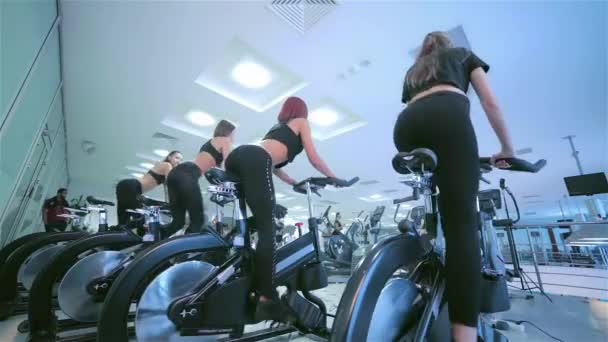 Μια Ομάδα Των Κοριτσιών Αθλητριών Στατικό Ποδήλατο Όμορφο Άθλημα — Αρχείο Βίντεο