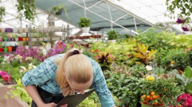 Odaklanmış genç bir bayan çiçekçi, güzel sarı saçlı, renkli bitkiler ve çiçeklerle dolu verimli bir bahçe merkezinde tabletine özenle yazıyor. Bu büyüleyici sahne onu gösteriyor.