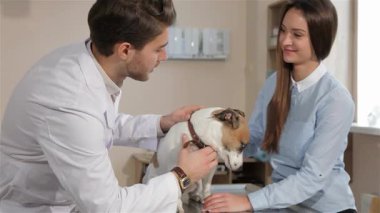 Şefkatli bir erkek veteriner, sevimli beyaz bir kadınla yakınlaşır ve o da sevimli köpeği hakkındaki sorularını cevaplar. Çekici esmer veteriner köpeği nazikçe inceliyor, güven ve profesyonellikle dolu sıcak bir atmosfer sergiliyor.