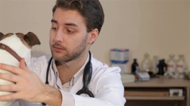 Kendini adamış bir erkek veteriner melez bir köpeğe nazikçe yiyecek sunar ve aralarında sıcak bir bağ olduğunu gösterir. Pürüzsüz köpek başını kameraya doğru çeviriyor. Bu iç açıcı veteriner sahnesinde güven ve şefkat somutlaştırıyor.