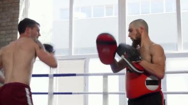 Odaklanmış üstsüz bir erkek kickboksör güçlü tekmelerini ve yumruklarını canlı bir spor salonunda pedleri tutan özel koçuyla antrenman yaparken sergiliyor. Atmosfer kararlılık ve yoğunlukla dolu, çünkü her iki sporcu da...
