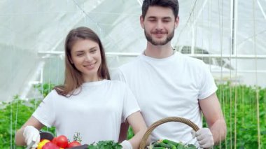 Neşeli bir erkek ve kadın, her ikisi de genç tarım uzmanları, canlı bir serada durup, cömert organik sebze hasadını gururla sergiliyorlar. Parlak gülümsemeleri sürdürülebilir çiftçiliğin neşesini yansıtıyor, yemyeşil ve renkli şeylerle çevrili.