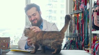 İyi bakımlı sakallı neşeli bir erkek veteriner, sevimli bir kediyi evcil hayvan aksesuarlarıyla dolu parlak, renkli bir klinikte besliyor. Bu iç açıcı sahne, şefkatli bir profesyonelle oyuncu bir kedi arasındaki bağı yakalıyor.