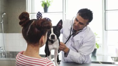 Olgun, yakışıklı bir erkek veteriner Boston Terrier köpeğini dikkatle incelerken küçük bir kız da merakla ve sevgiyle izliyor. Bu iç açıcı sahne, evcil hayvanlarla genç sahipleri arasındaki bağı yakalıyor ve veterinerleri gösteriyor.