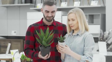 Çekici bir çift, şık mobilya ve dekorlarla çevrili modern bir mobilya mağazasında canlı saksı bitkileri seçiyor. Yakışıklı adam büyük bir aloe çiçeği tutarken, sevgili karısı da daha küçük, sulu ve paylaşılan bir çiçeğe hayran.