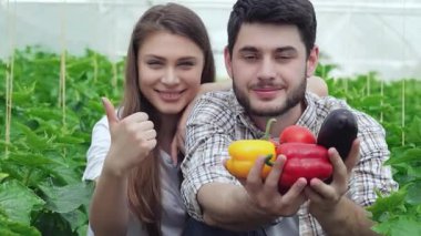 Neşeli genç bir çift gururla taze toplanmış sebze çeşitlerini sergilerken, kız da yemyeşil bir serada başparmağını kaldırıyor. Bu canlı sahne organik çiftçiliğin özünü yakalıyor, tutkularını vurguluyor.