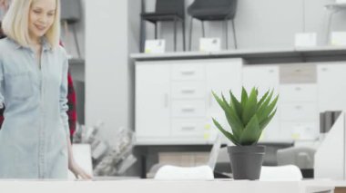 Neşeli bir çift, ev ürünleri için hoş bir alışveriş deneyimi yaşar. Süslü bir tencerede çarpıcı bir aloe bitkisi bulunur. Sıcak gülümsemeleri ve şakacı etkileşimleri, mobilya döşemelerinin sevincini gösteren davetkar bir atmosfer yaratıyor.