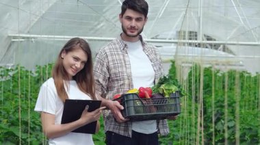 Çalışkan genç bir adam canlı bir sepet taze toplanmış sebze toplarken neşeli bir tarım uzmanı kameraya doğru ışık tutuyor ve serada takım çalışmalarını sergiliyor. Bu canlı sahne, sürdürülebilir çiftçiliğin özünü yakalar.