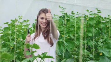 Neşeli genç bir tarım uzmanı canlı yeşil bitkilerin arasında duruyor, elinde bir pano tutarken güvenle başparmağını kaldırıyor. Bu sahne organik çiftçiliğin özünü yakalar, salatalıkların sağlıklı büyümesini izleme hevesini gözler önüne serer.
