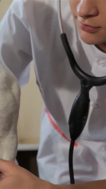 Şefkatli bir kadın veteriner parlak, misafirperver bir klinikte köpeği dikkatlice muayene eder, özverisini ve uzmanlığını gösterir. Steteskopu hazırken köpek kalp atışlarını yakından dinler. Birbirlerine olan güvenlerini vurgular.