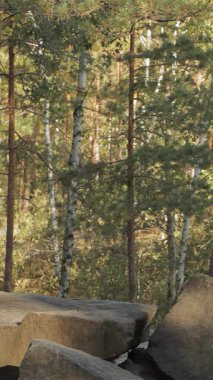 Maceracı bir çift, canlı yeşillikler ve yükselen ağaçlarla çevrili engebeli kayalık bir çıkıntıda neşeyle geziniyor. Sakallı beyaz adam, esmer kız arkadaşını sevgiyle kucaklıyor ve bir anlık sevgi ve bağ kuruyor.