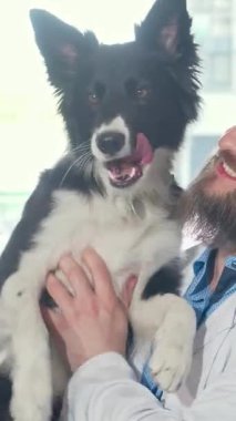 Neşeli, sakallı bir veteriner beşikte coşkulu, siyah beyaz bir köpek, coşkulu kliniğinde sıcaklık ve şefkat saçıyor. Yakışıklı erkek veterinerlerin gülümsemesi mutluluk saçıyor. Bu canlı muayenede oluşan güçlü bağı vurguluyor.