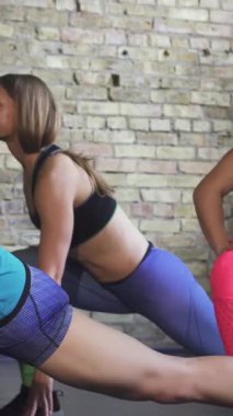 Üç atletik kadın, her biri parlak, renkli spor kıyafetleriyle eşsiz stiller sergiliyor, güneşli bir spor salonunda senkronize esneme egzersizleri yapıyorlar. Kararlılıkları ve yoldaşlıkları enerji yayarak ilham verici bir refah atmosferi yaratıyor.