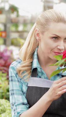 Neşeli bir bayan çiçekçi, zarif sarı saçlarıyla, canlı bir bahçe merkezinde ışıl ışıl kırmızı ve beyaz çiçeklerin hoş kokusunu soluyor. Renkli bitkilerden oluşan bir kaleydoskopla çevrili bu genç beyaz kadın...