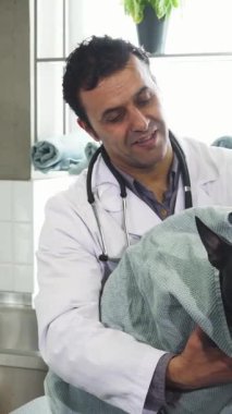 Beyaz önlük ve steteskop giyen neşeli olgun bir erkek veteriner yumuşak bir havluya sarılı şirin bir Boston Terrier köpeğini nazikçe kurutur parlak, davetkâr bir klinikte sıcaklık ve bakım yayar. Bu iç açıcı sahne,