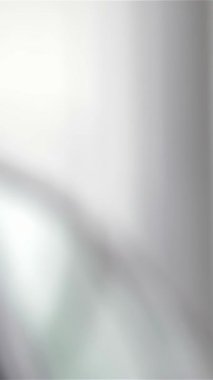 Parlak araçlarla dolu modern bir galeride, bir araba satıcısı yeni bir araba satın almanın heyecanını yakalayan ışıldayan genç bir kadının parlak anahtarlarını hevesle teslim ediyor. Bu hareketli an müşteri ve müşteri arasındaki neşeli bağlantıyı simgeliyor.