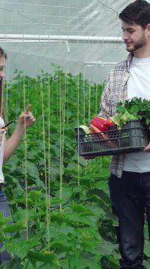 Yeşilliklerle dolu canlı bir serada, genç bir adam coşkuyla renkli, taze toplanmış sebzelerle dolu bir sepeti bir kız tarım uzmanına sunuyor. Neşeli etkileşimleri sürdürülebilir çiftçiliğin özünü vurgular.