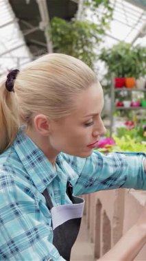 Dalgalı sarı saçlı odaklanmış genç bir bayan çiçekçi renkli bir çiçek tarlasının yanında diz çöker, titizlikle canlı çiçekleri ve gür yeşilliği inceler. Şık bir önlük ve şık bir ekose gömlek giyen bu çekici beyaz kadın...